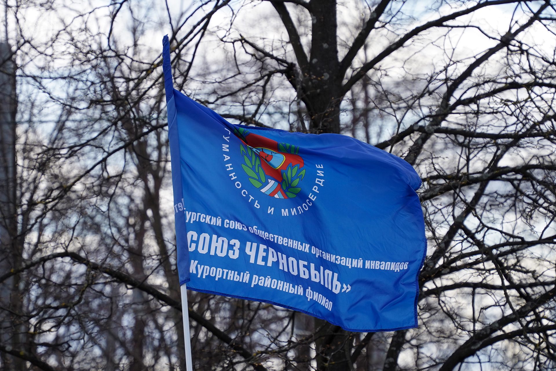 В День памяти погибших в радиационных авариях и катастрофах возложили цветы к памятнику в парке Сахарова