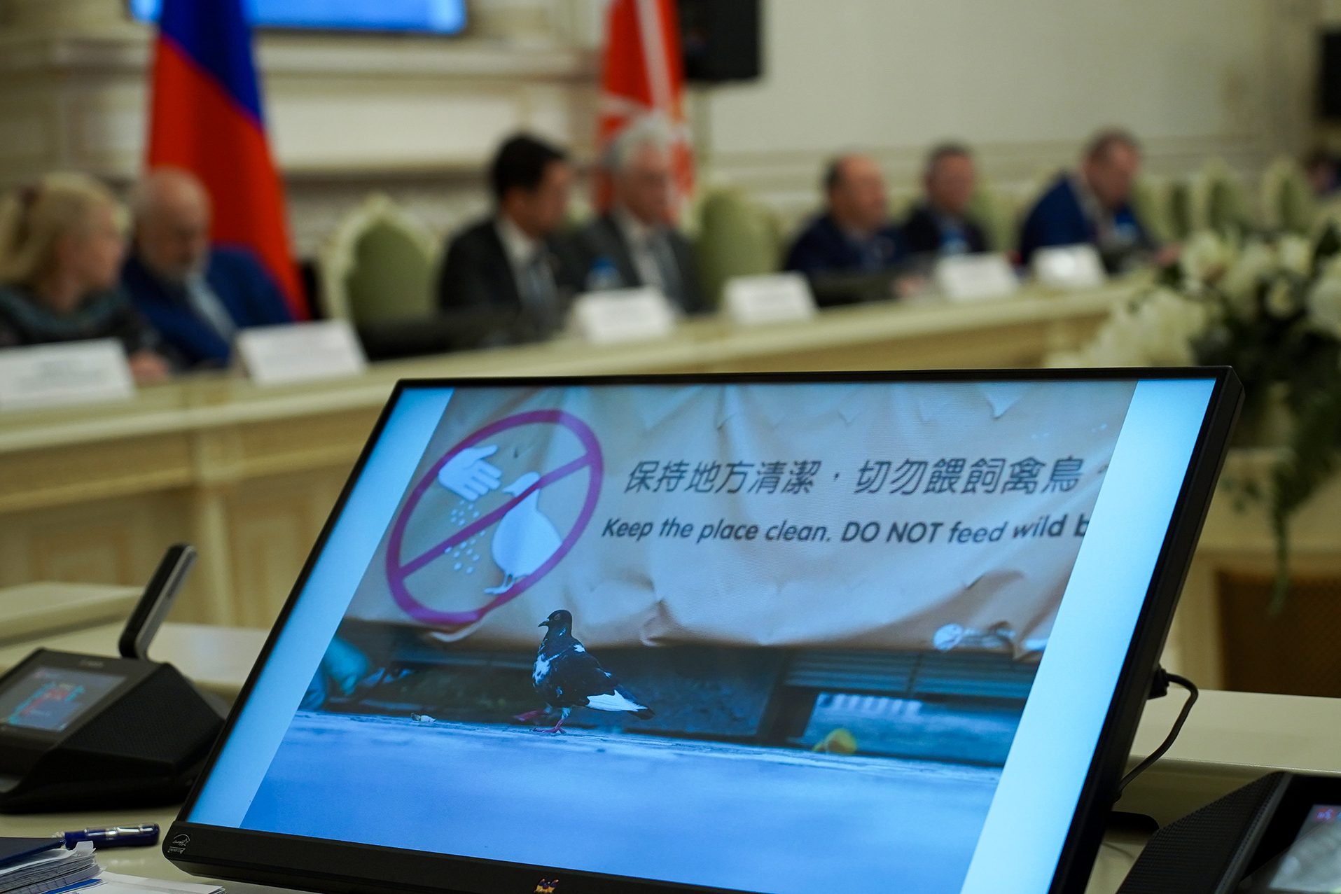 Защита культурного наследия: Законодательное Собрание Санкт-Петербурга обсудило проблему синантропных птиц