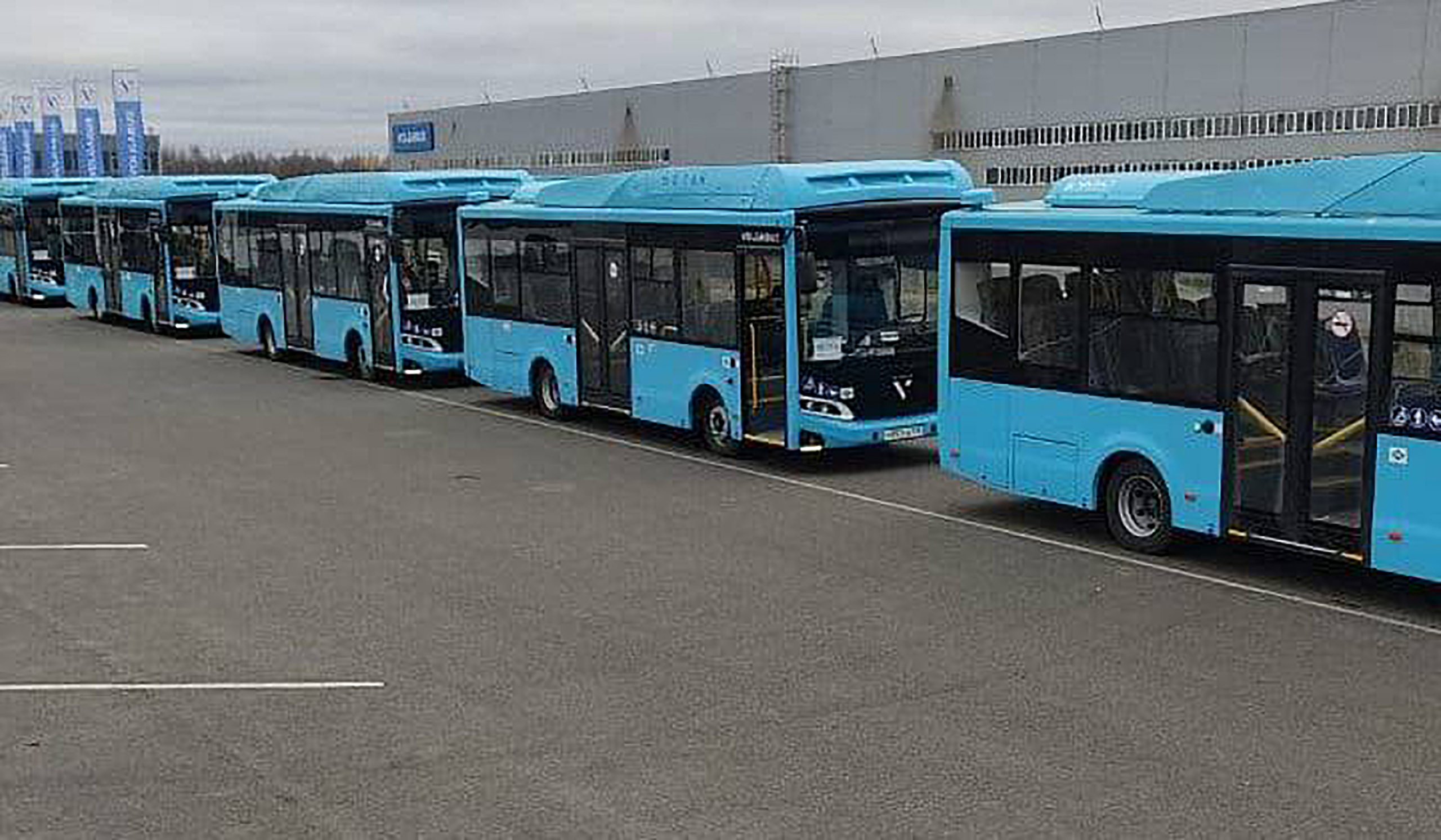 В Петербурге полностью завершена замена старого подвижного состава на маршрутах коммерческих перевозчиков, работающих в рамках Новой модели транспортного обслуживания пассажиров