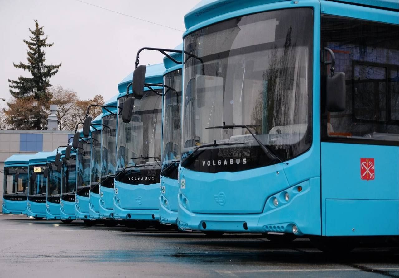 На улицы Петербурга вышли почти 400 новых автобусов