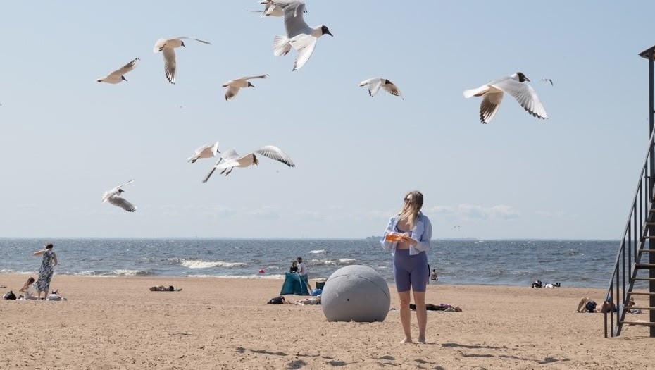 Внимание, петербуржцы!