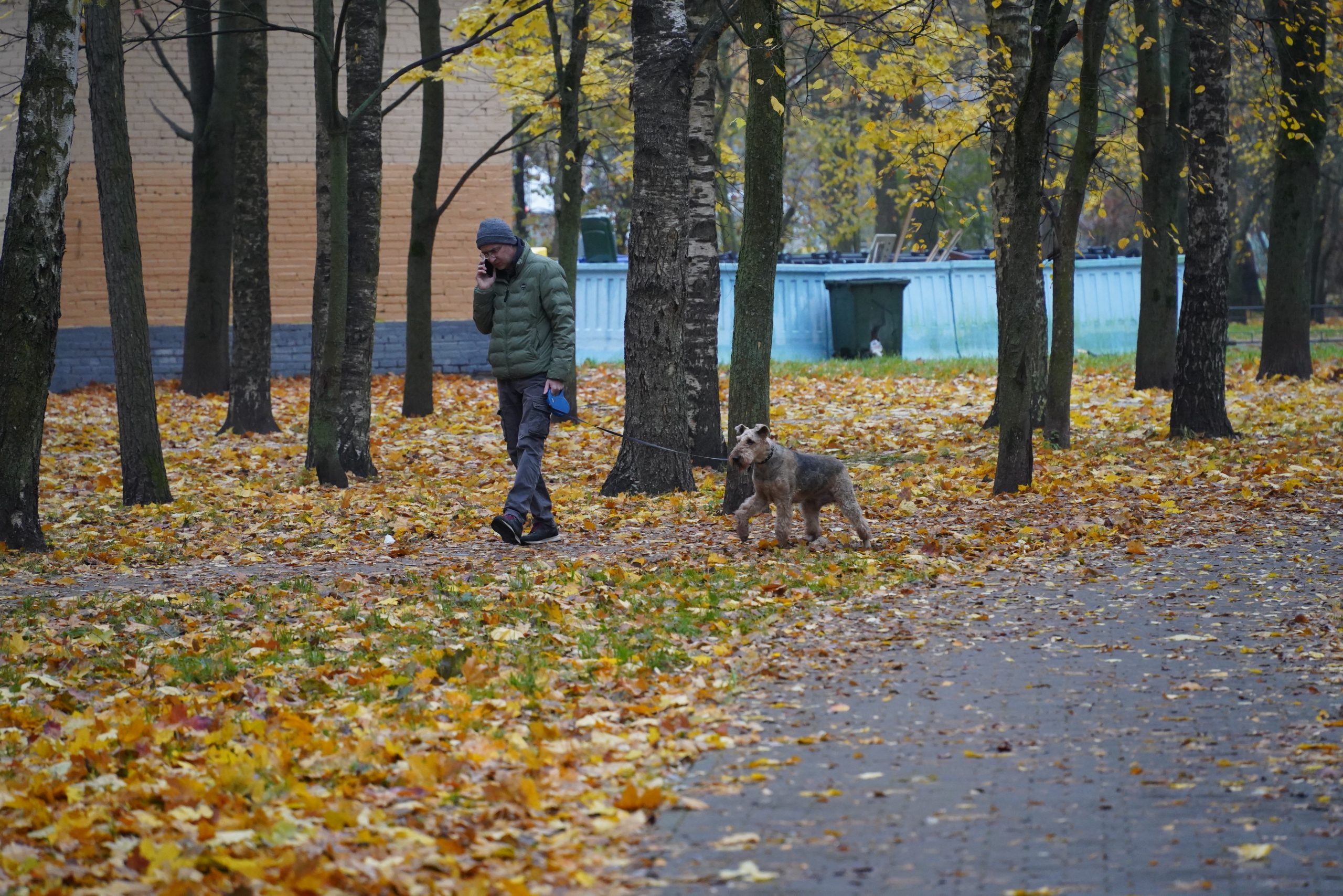 "Добрый субботник" в Муниципальном Округе №21: Вместе делаем город чище!