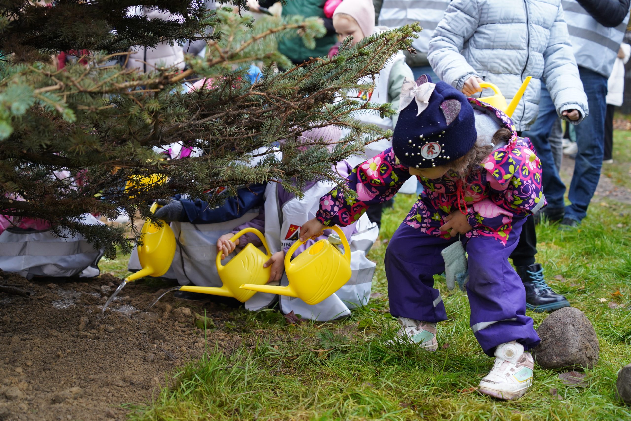 Масштабный «Добрый субботник» объединил жителей Калининского района: посадка новогодней ели и впечатляющие результаты