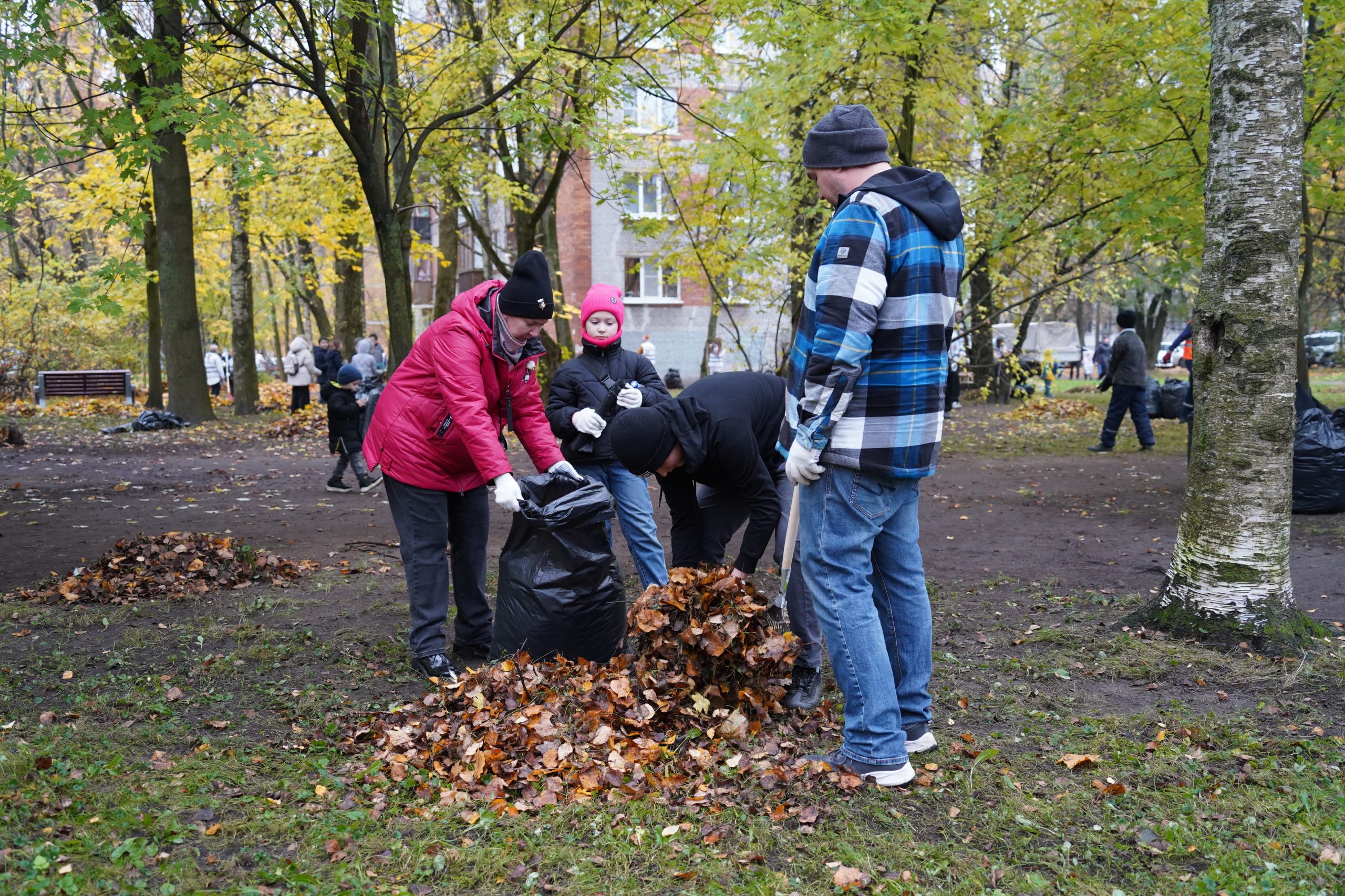 Масштабный «Добрый субботник» объединил жителей Калининского района: посадка новогодней ели и впечатляющие результаты